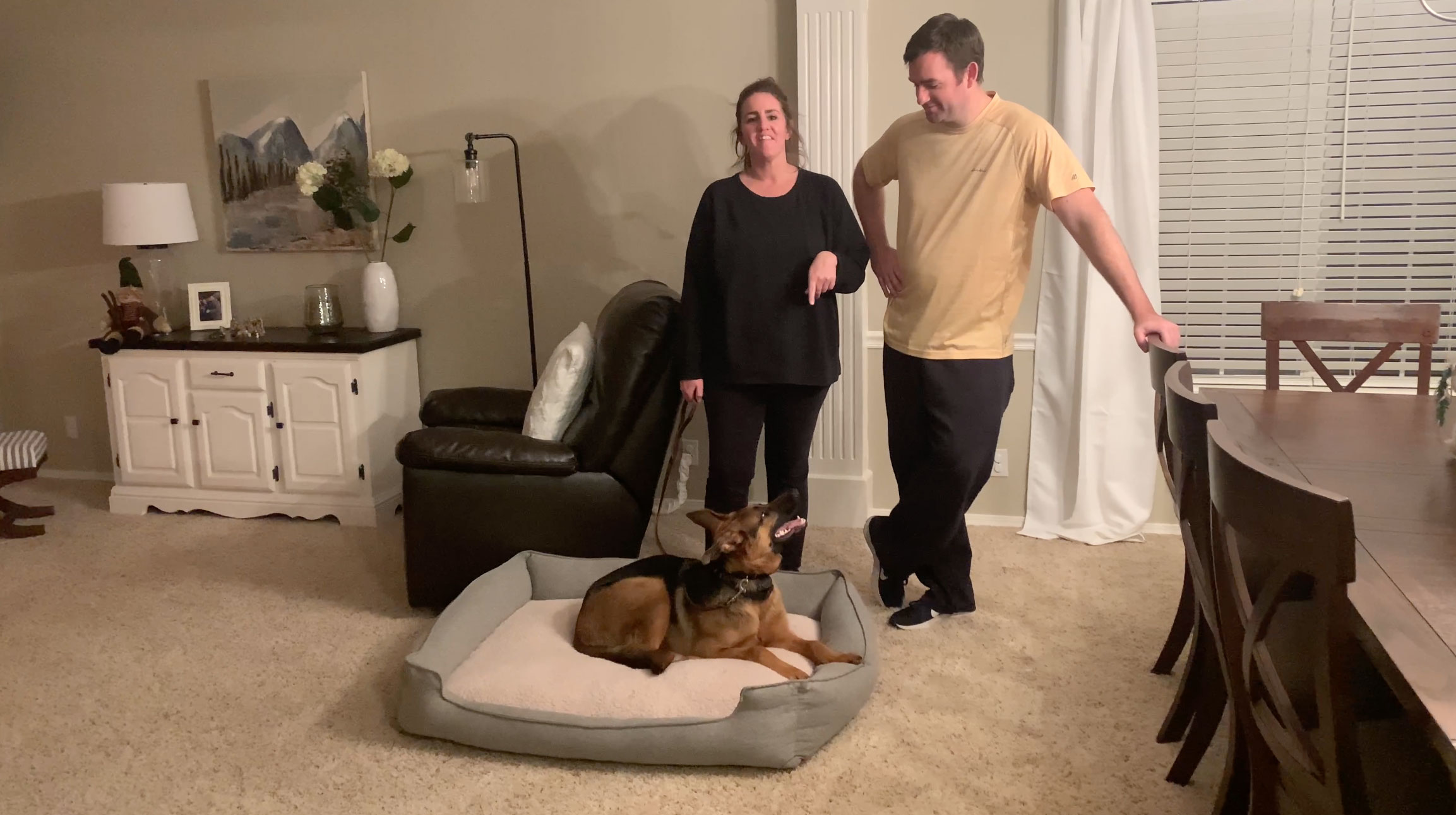 Dog Training Orlando Make Today Worth Rememebering!