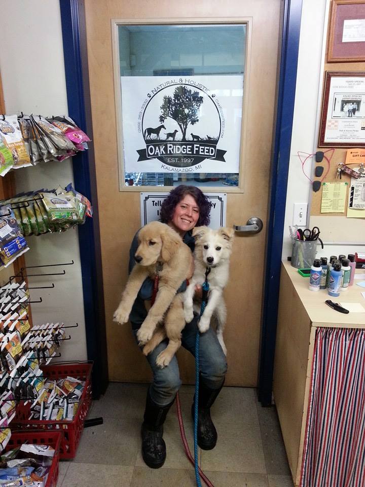 individual attention TipTopTails Michigan Dog Training