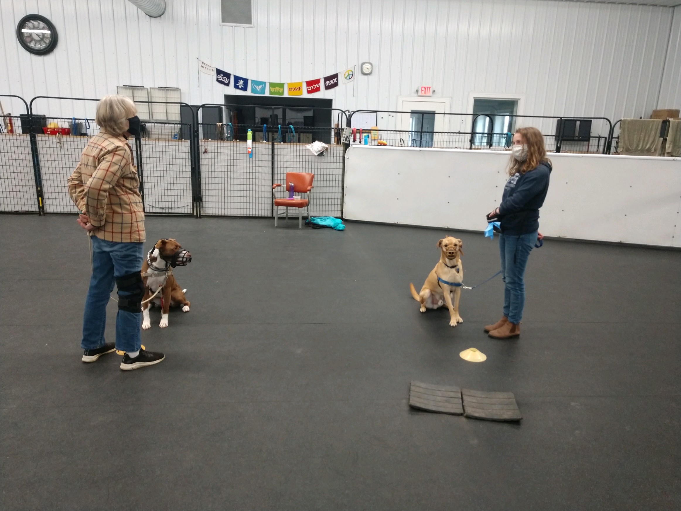 121320 TipTopTails Michigan Dog Training