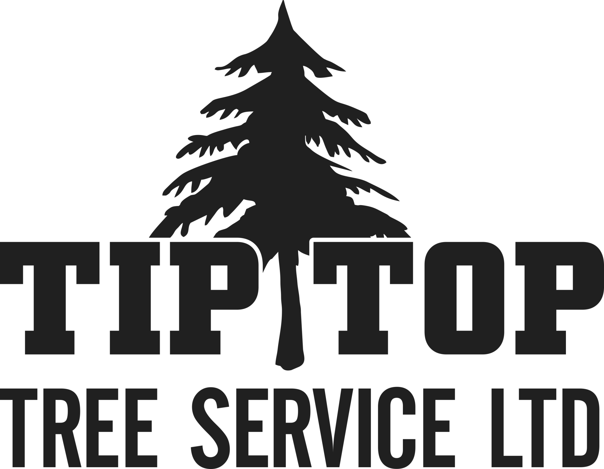 Contact Tip Top Tree Service Ltd.