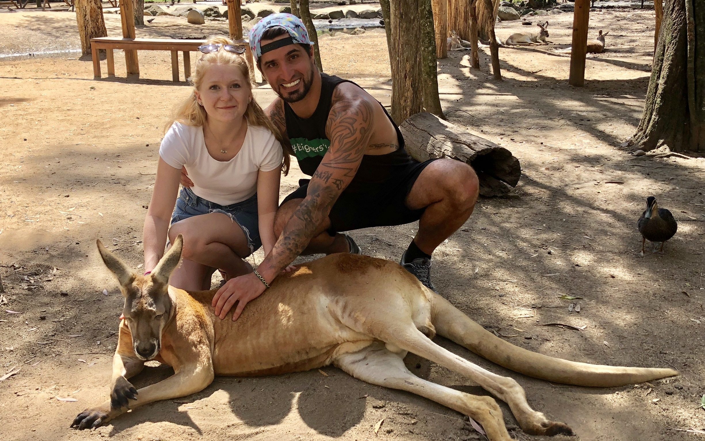 Not All Australian Animals Will Kill You Tired of Working "Live as a