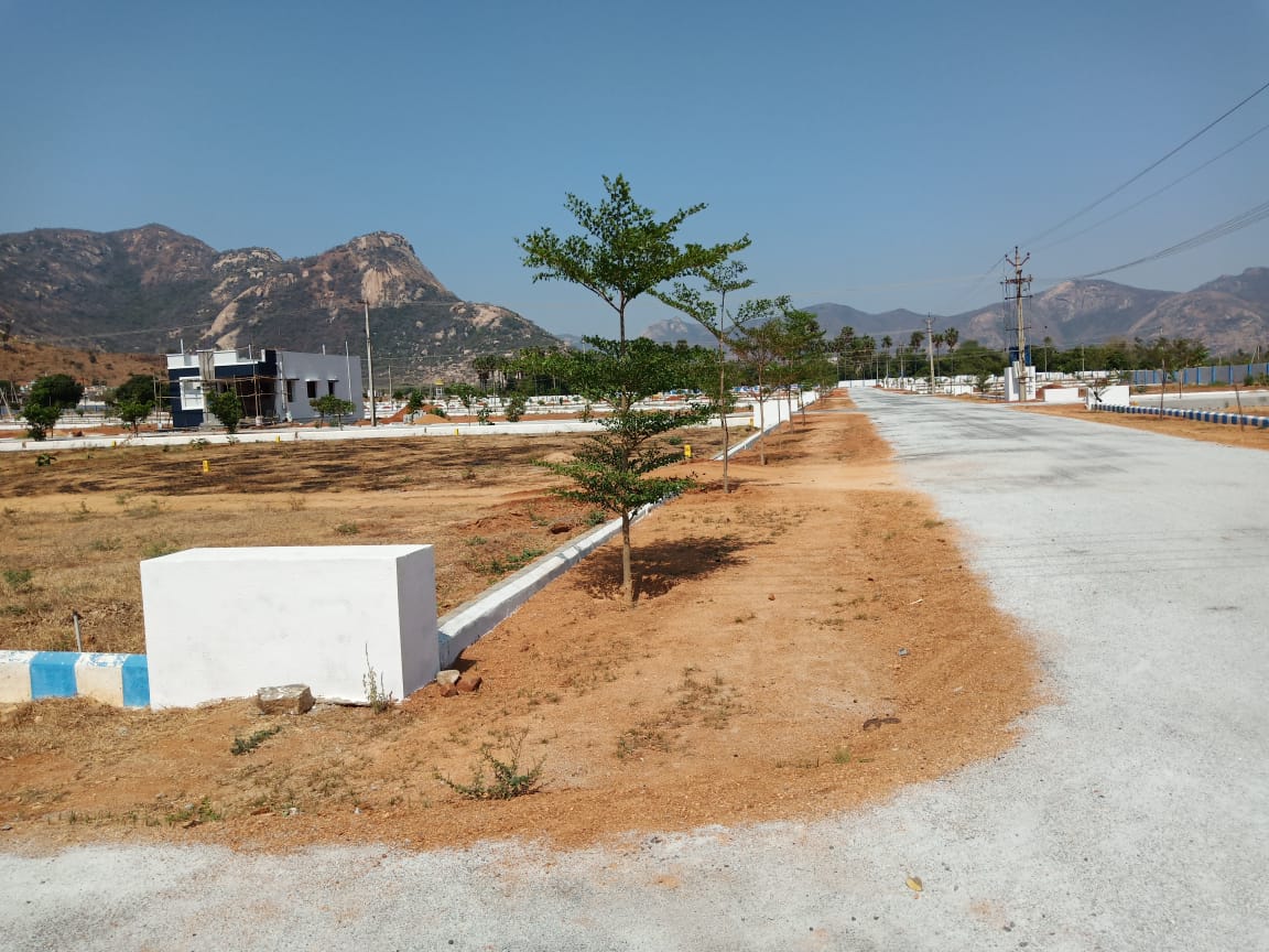Chandragiri Gated Community Dollars colony Layout plots for sale
