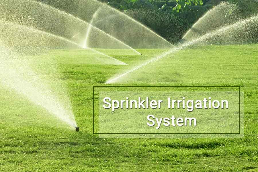 Sprinkler Irrigation System Sprinkler Manufacturer Tirupati Sprinklers