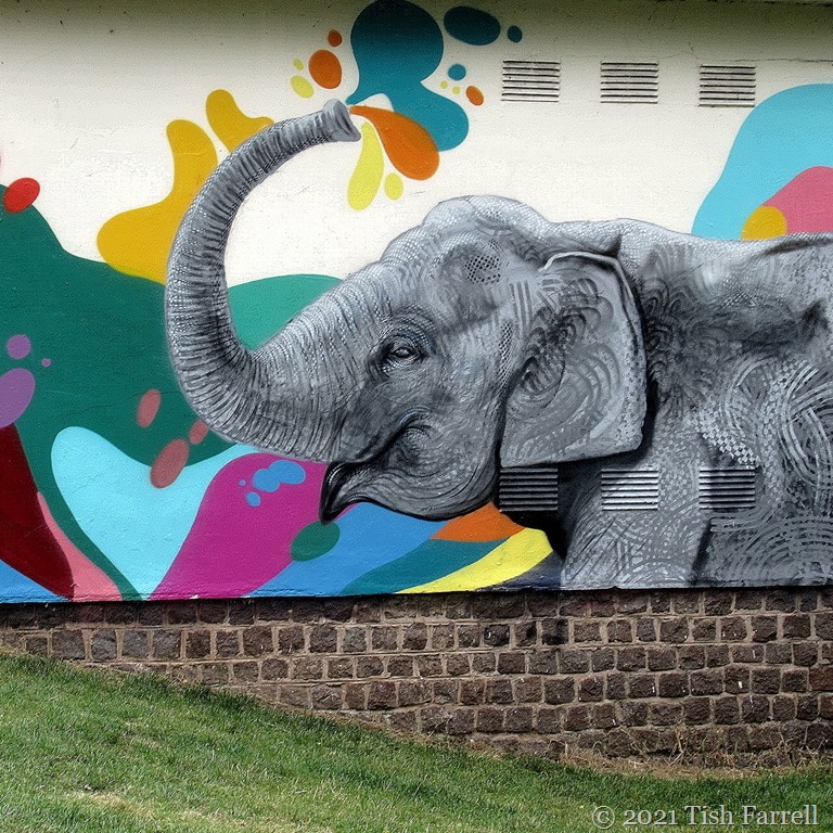 Leamington Spa’s Elephant Wash Fact or Fiction? Tish Farrell