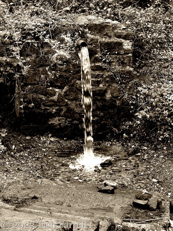 Ups And Downs On The Broseley Jitties Tish Farrell