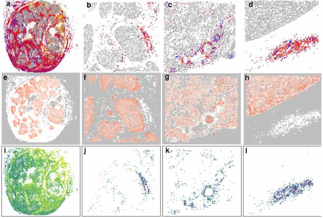 Indica Labs inar Exploring SPIAT for HALO image analysis An R