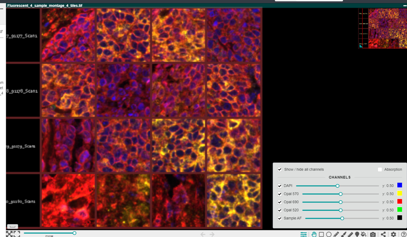 Indica Labs September inar