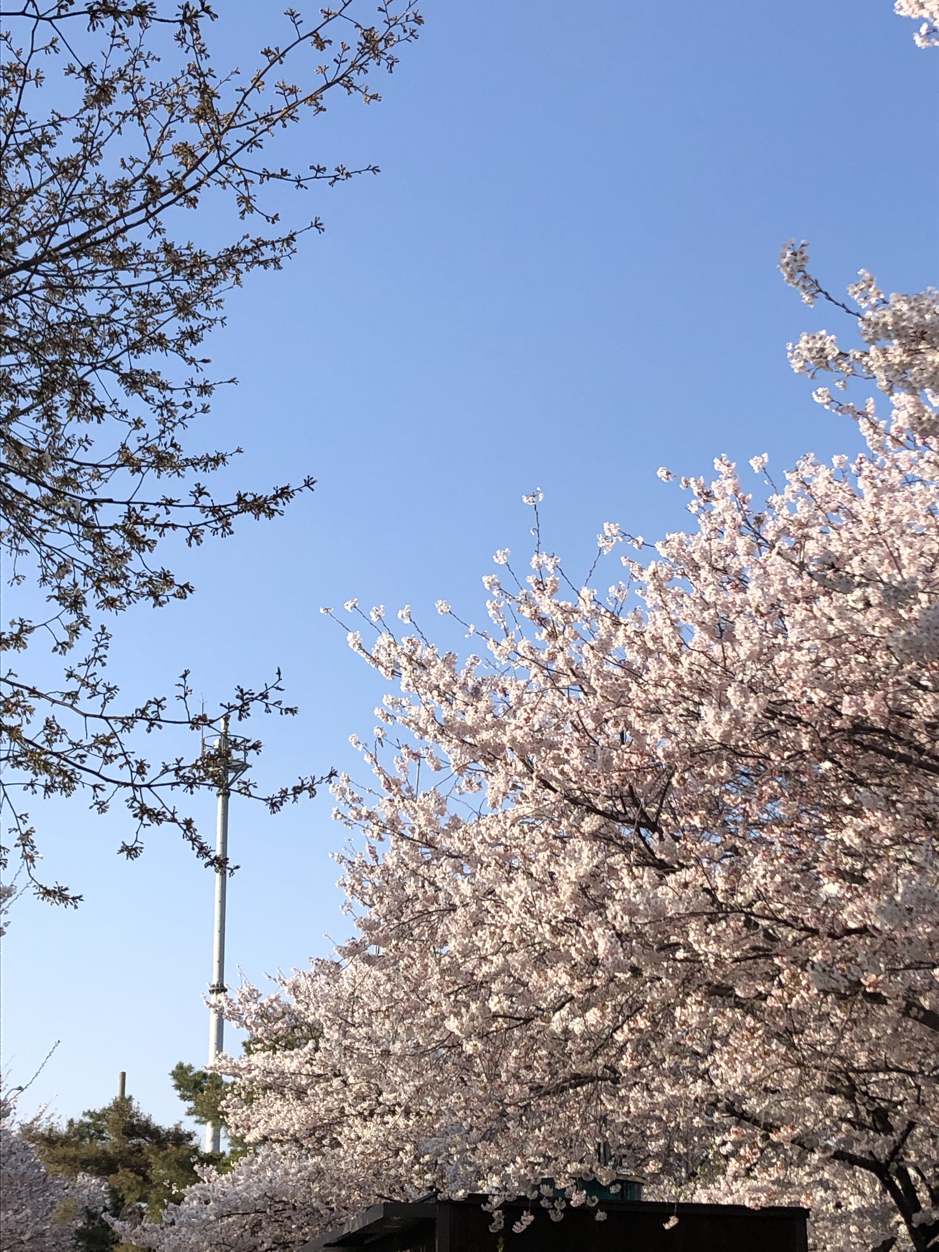 [백준] 11650번 좌표 정렬하기 java