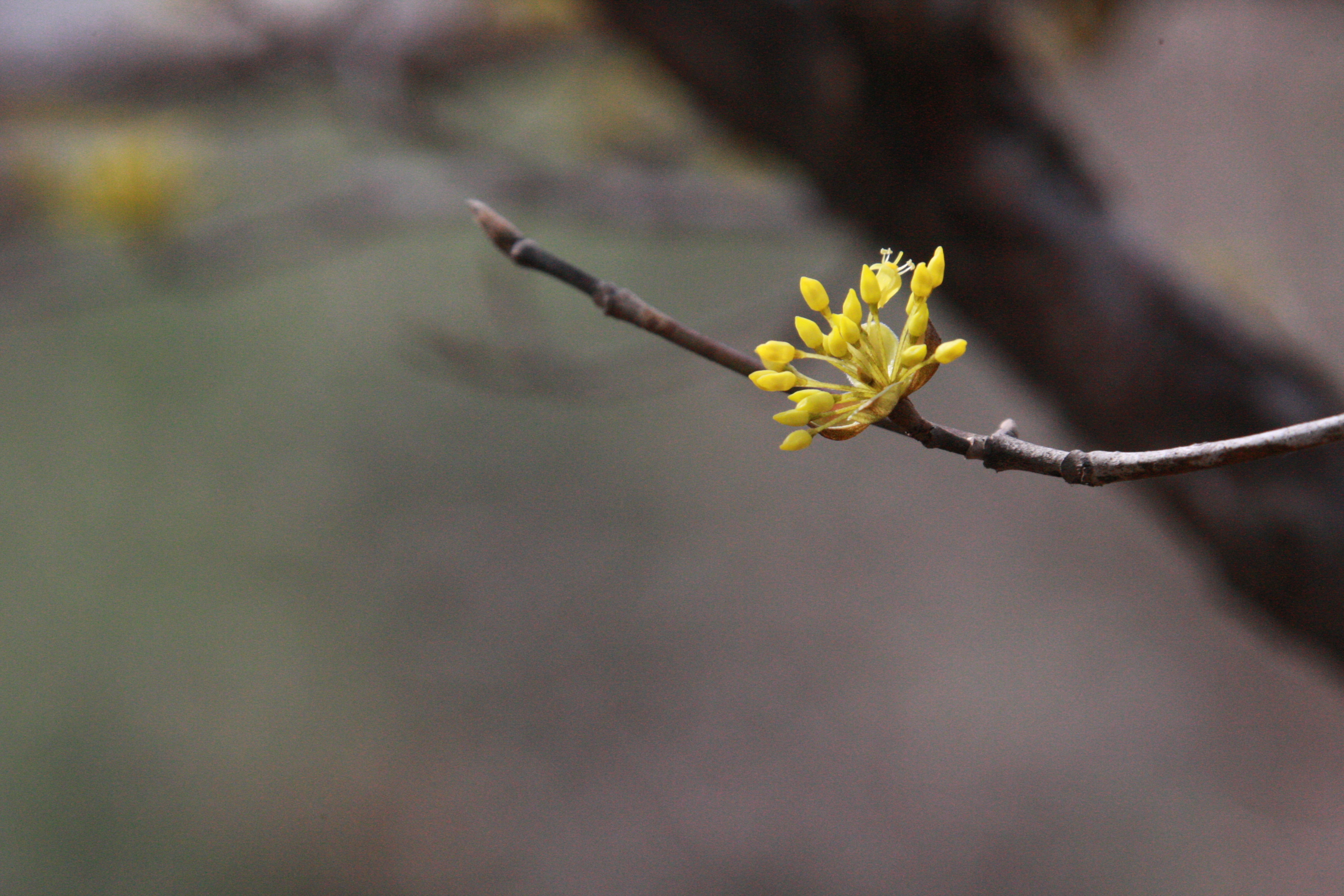 NIPA, 공개 SW 지적재산권 국제 콘퍼런스 개최