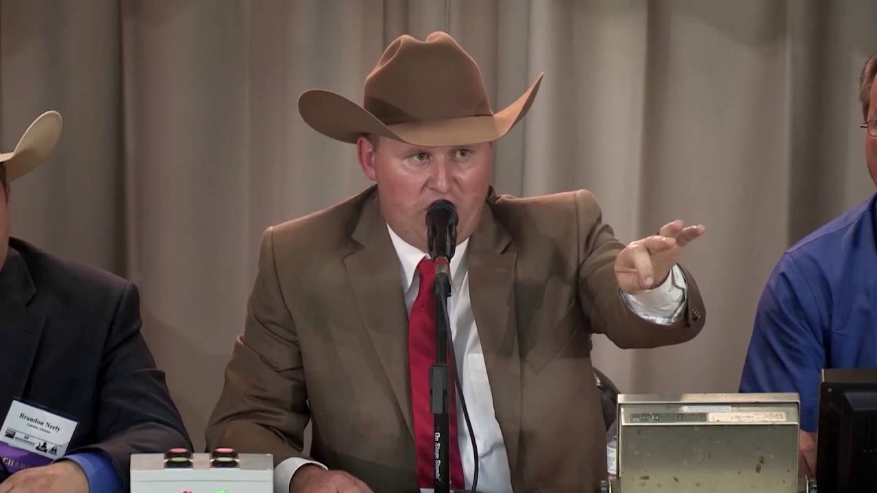 Bids Are For Auctions Trust The Quality Of Work Learn Why The Lowest