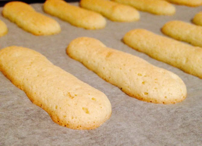 Gluten Free LadyFingers (Inspired by ‘The Great British Bake Off