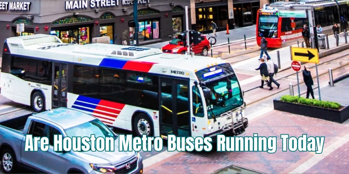 Current Status of Houston Metro Buses Service Updates 2023
