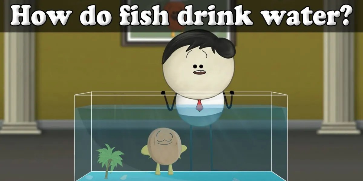 Do Fish Drink Water? Exploring the Hydration Habits of Aquatic Creatures