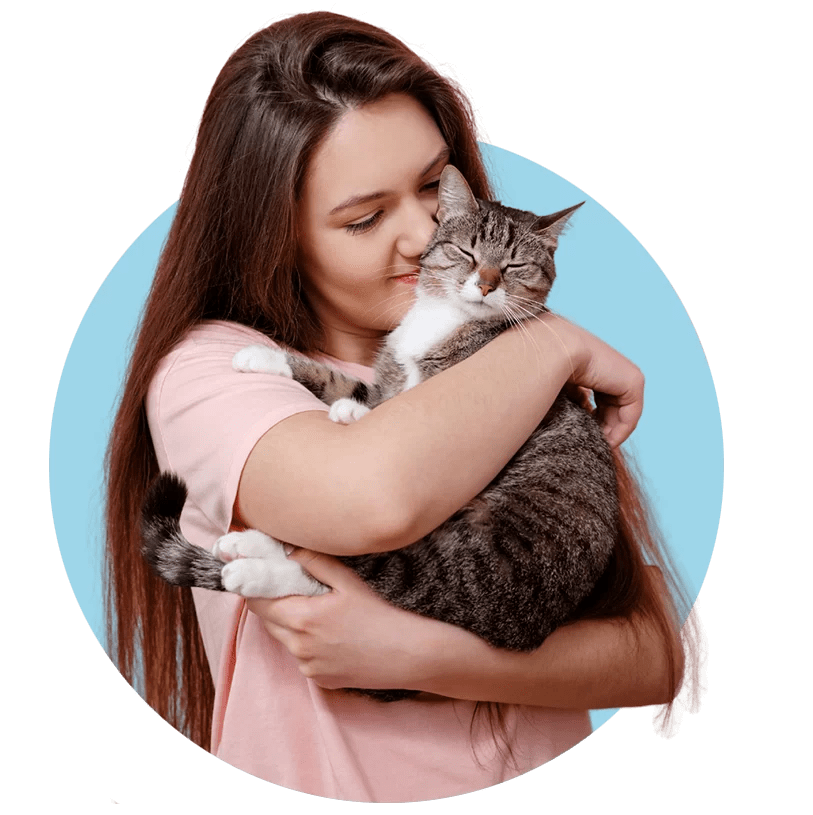 ᐅ 5Star Mobile Cat Grooming Near Me Miami