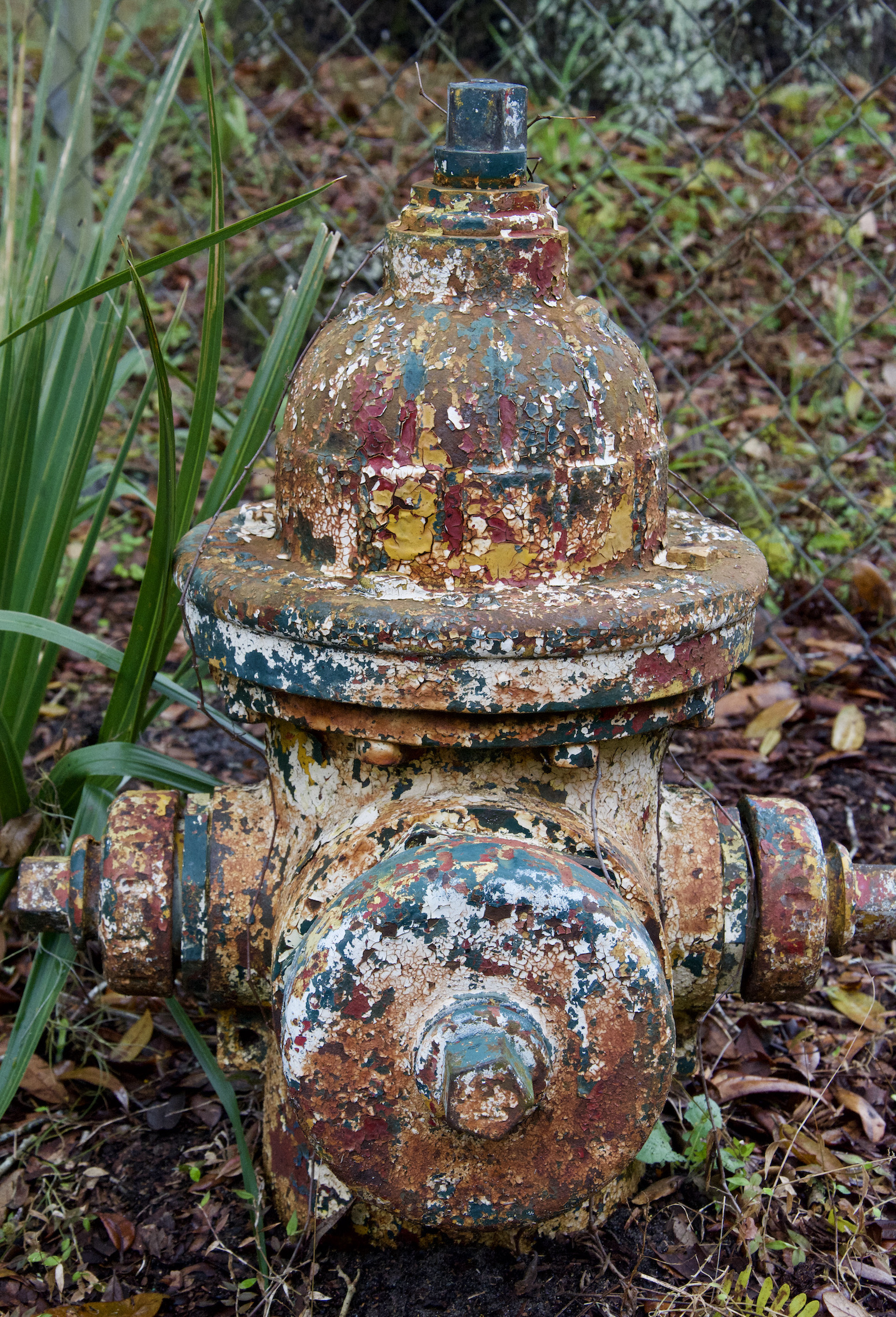 Fire Hydrant of many colors! The Vintage Lens