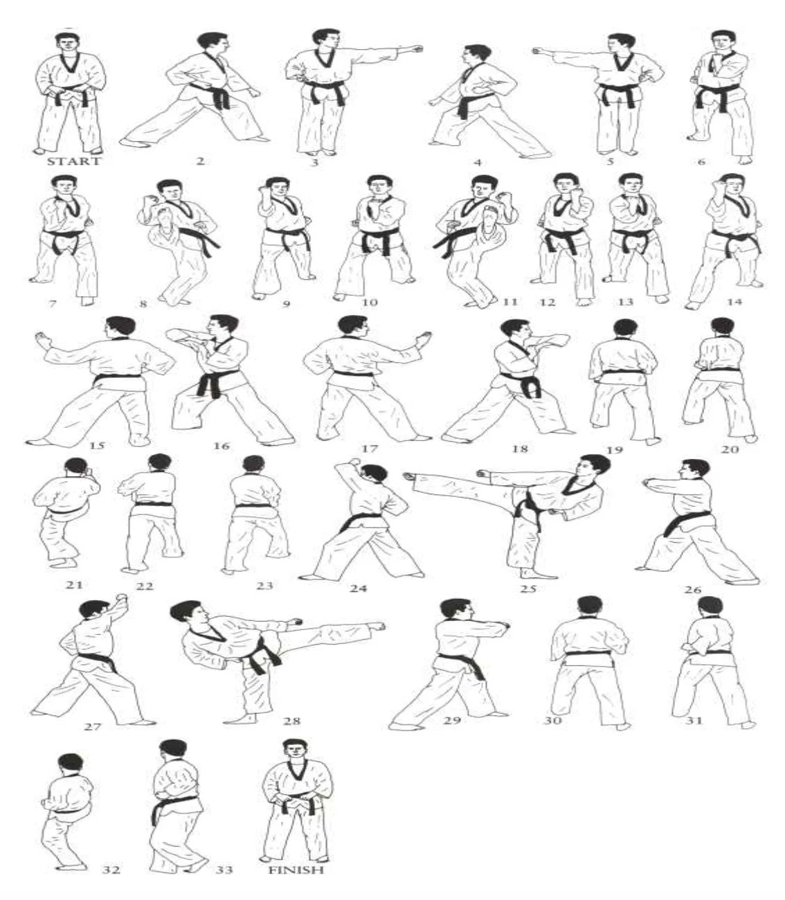 Taekwondo Resources Purple Belt Kim's Taekwondo Center