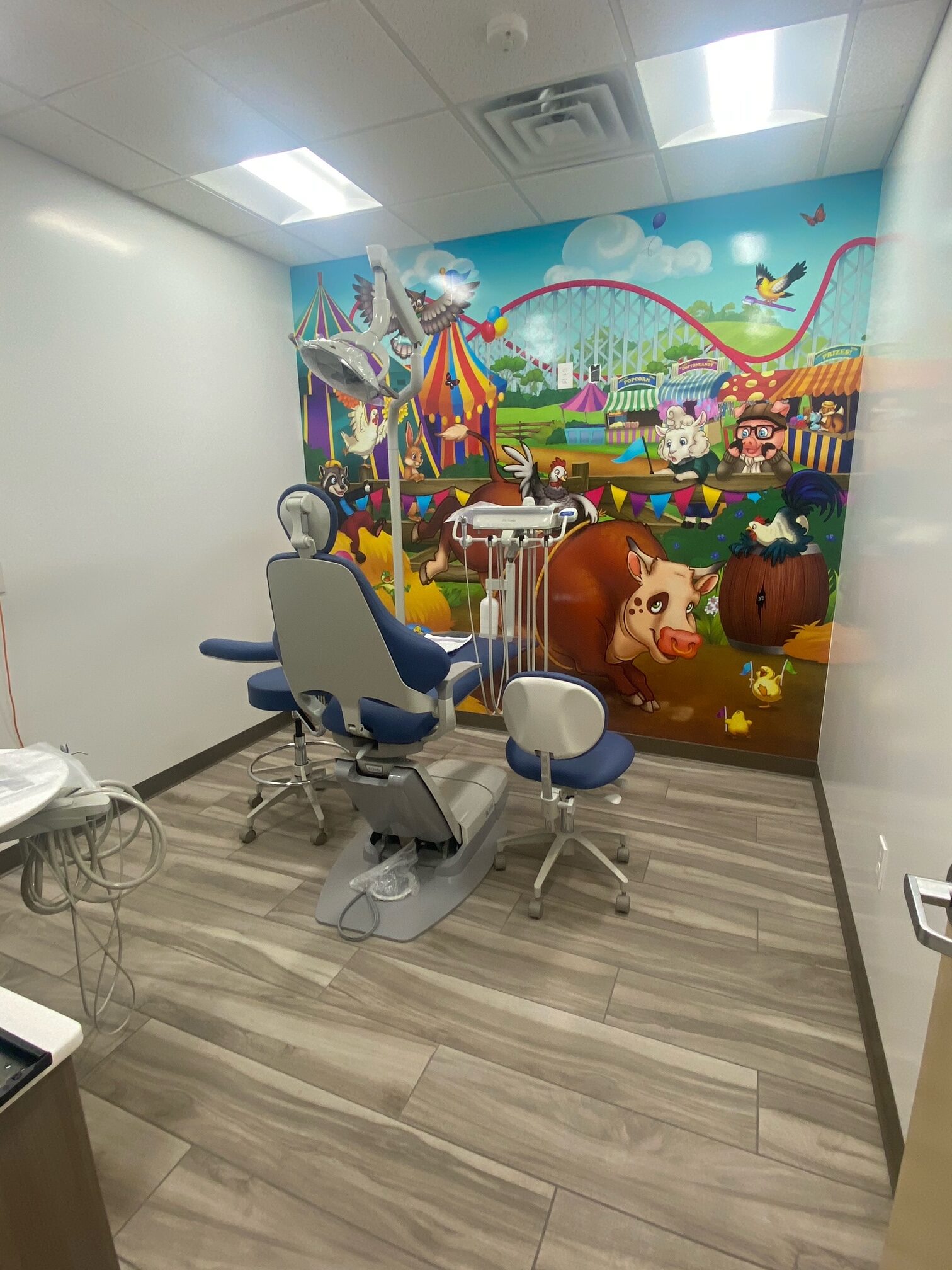 Project Development TKO Properties