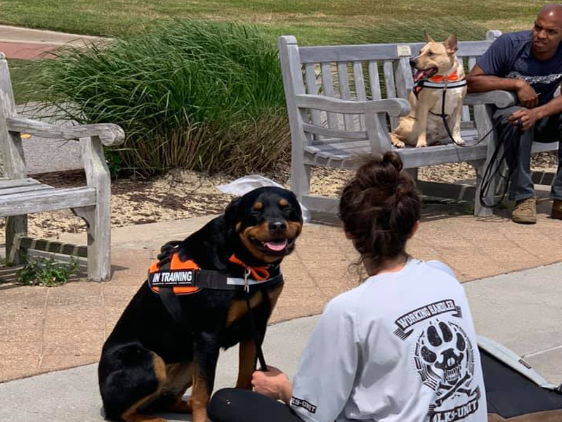 Tk Pet Sitters serving Highland Park and New Brunswick, NJ