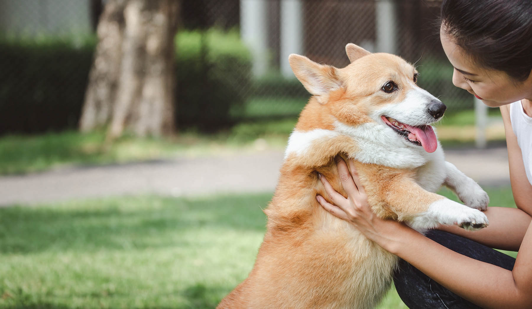 Tk Pet Sitters serving Highland Park and New Brunswick, NJ