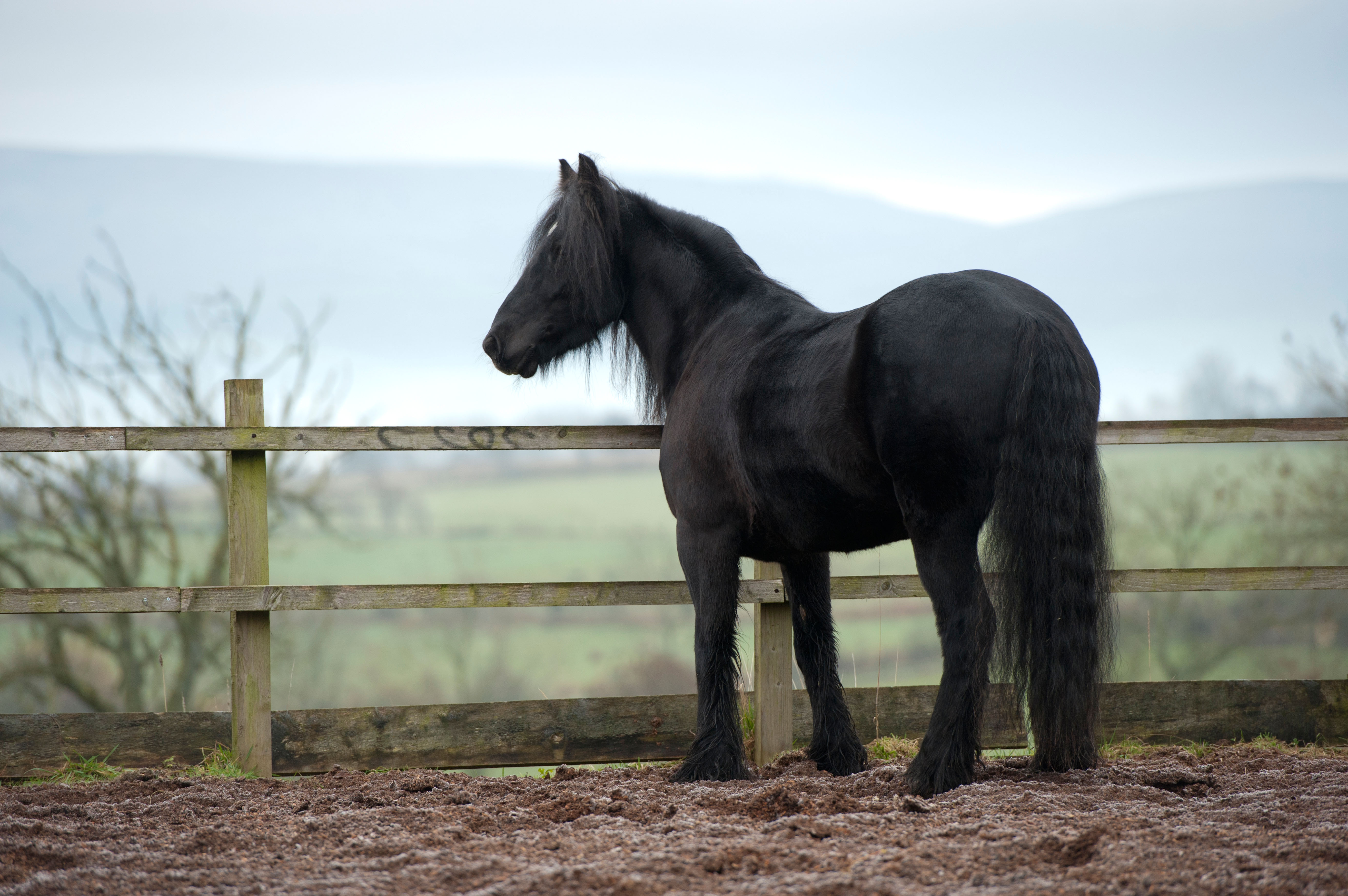 Stables to rent TLB Properties