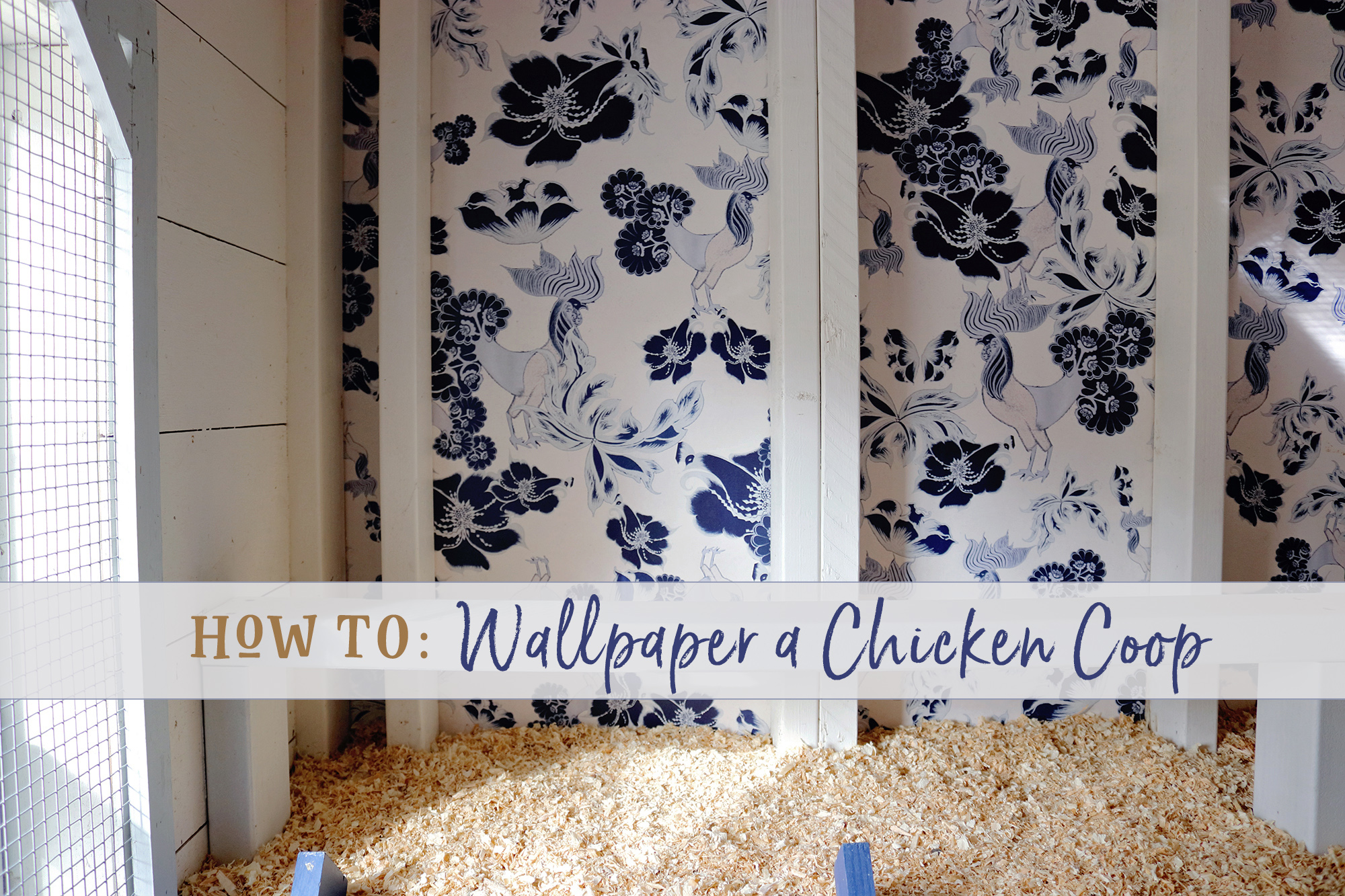 How to Wallpaper a Chicken Coop