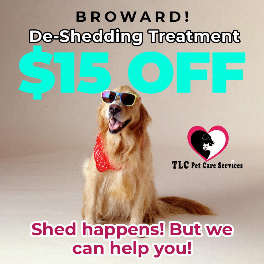 Pet Care & Grooming in South Florida TLC Pet Care