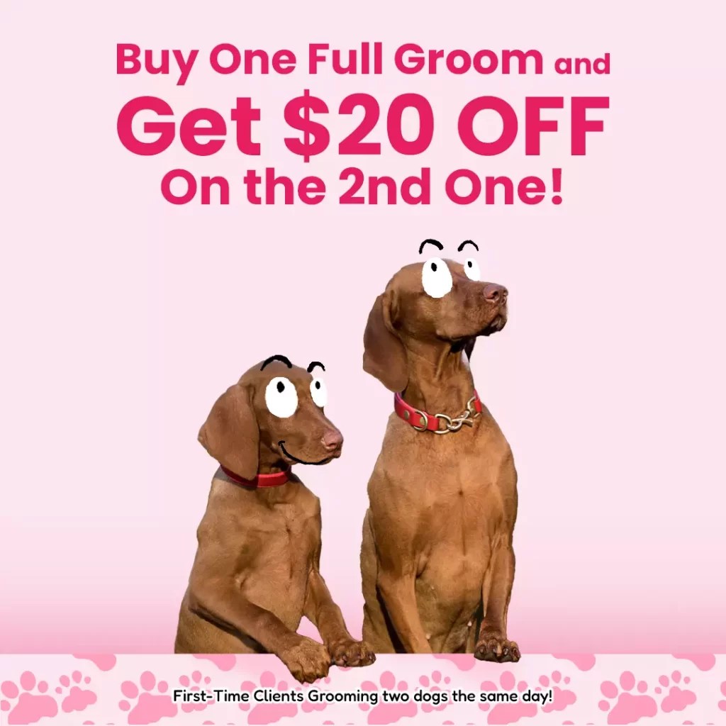 Pet Care & Grooming in South Florida TLC Pet Care Pet grooming Dog grooming near me Dog