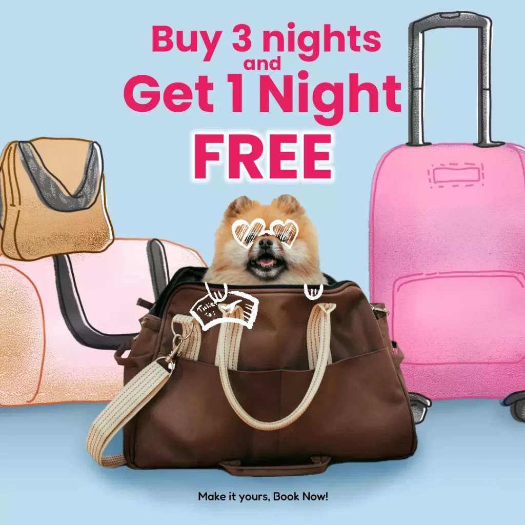 Pet Care & Grooming in South Florida TLC Pet Care Pet grooming Dog grooming near me Dog