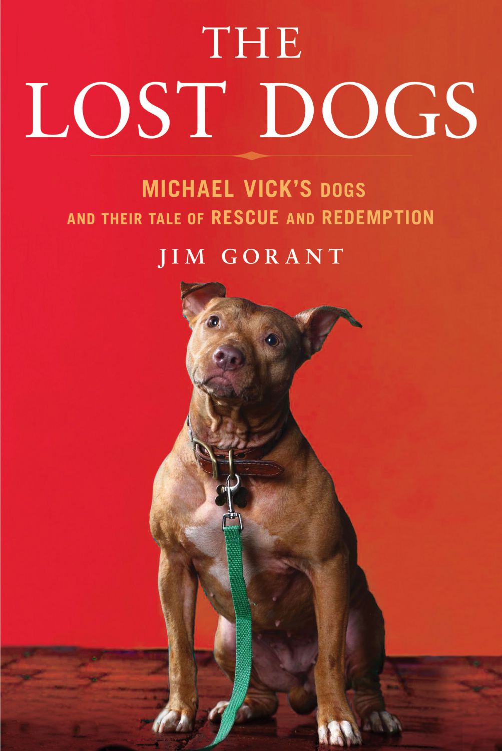 Jim Gorant, author of THE LOST DOGS, on tour September/October 2010