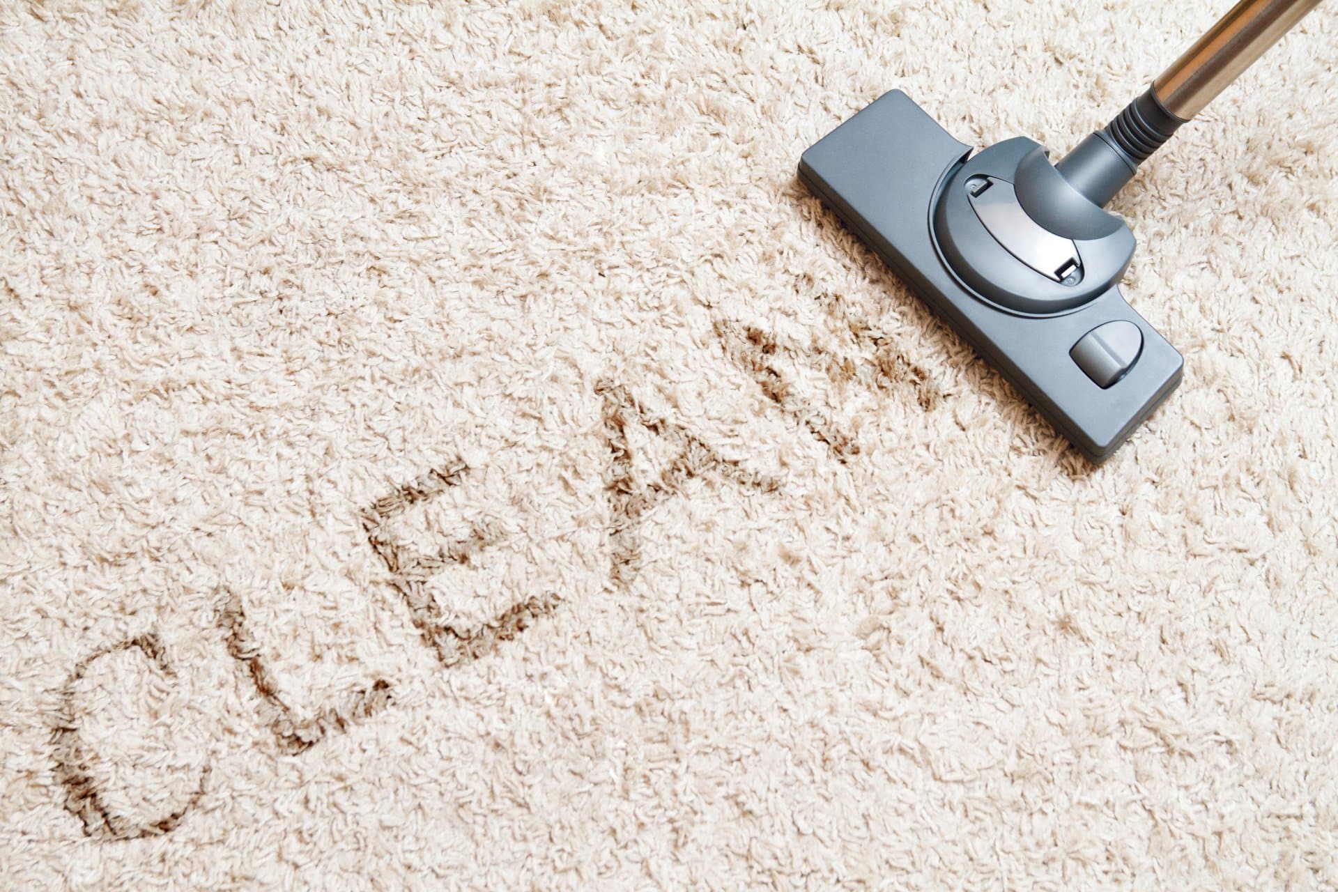 How Often Should You Clean Your Carpets? TLC Cleaning