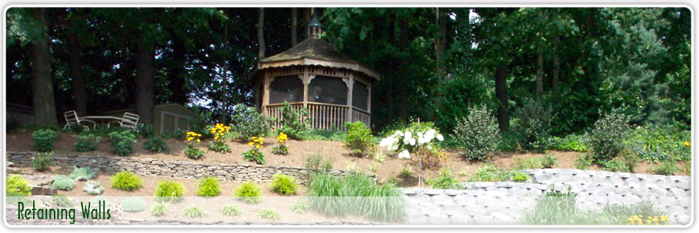 Huntington Tree Removal, Dix Hills Tree Services Huntington, Northport
