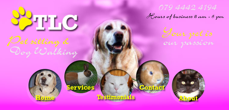 Tlc Pet Care Services 1 Pet Care Grooming In Ft Lauderdale Fl With