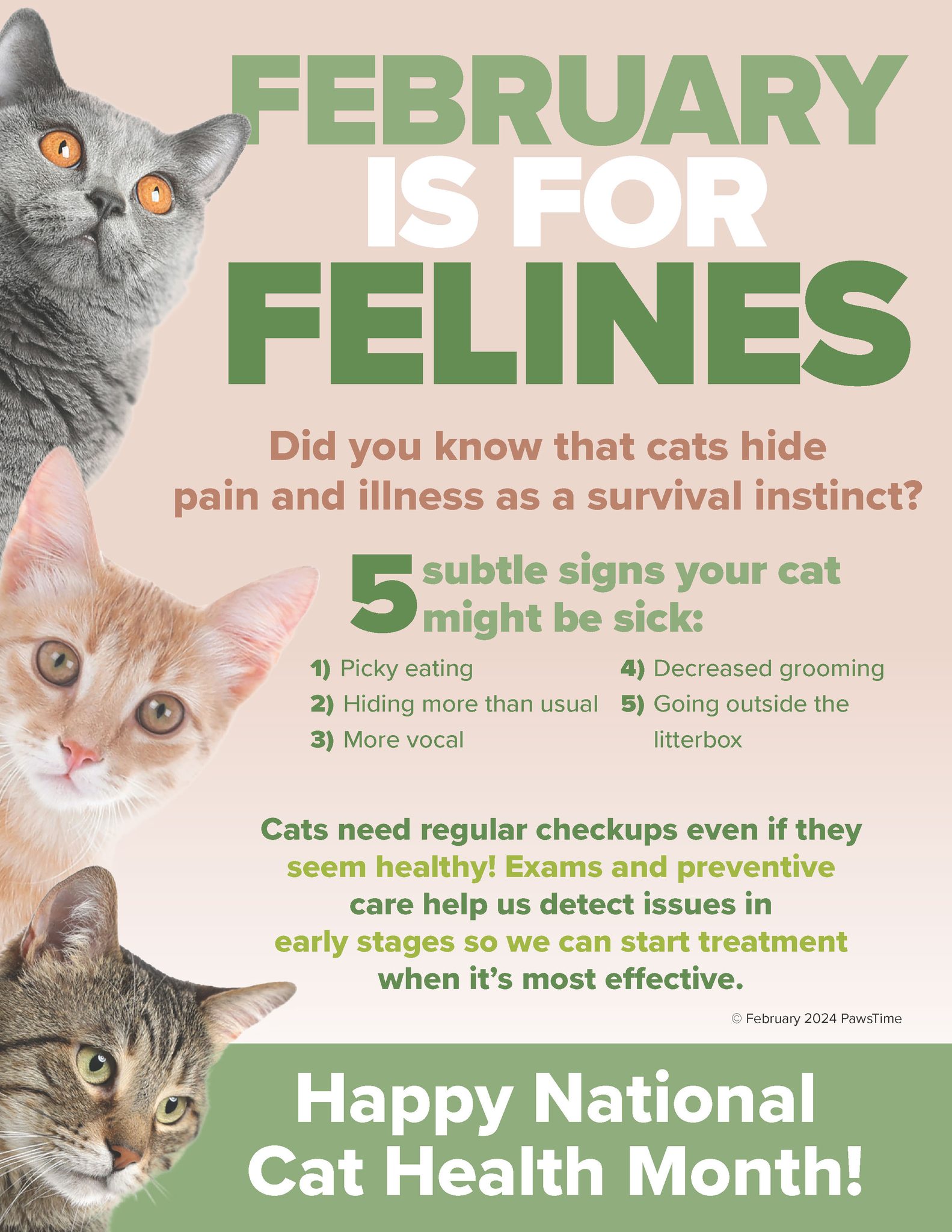 February is for Felines TLC Pet Hospital