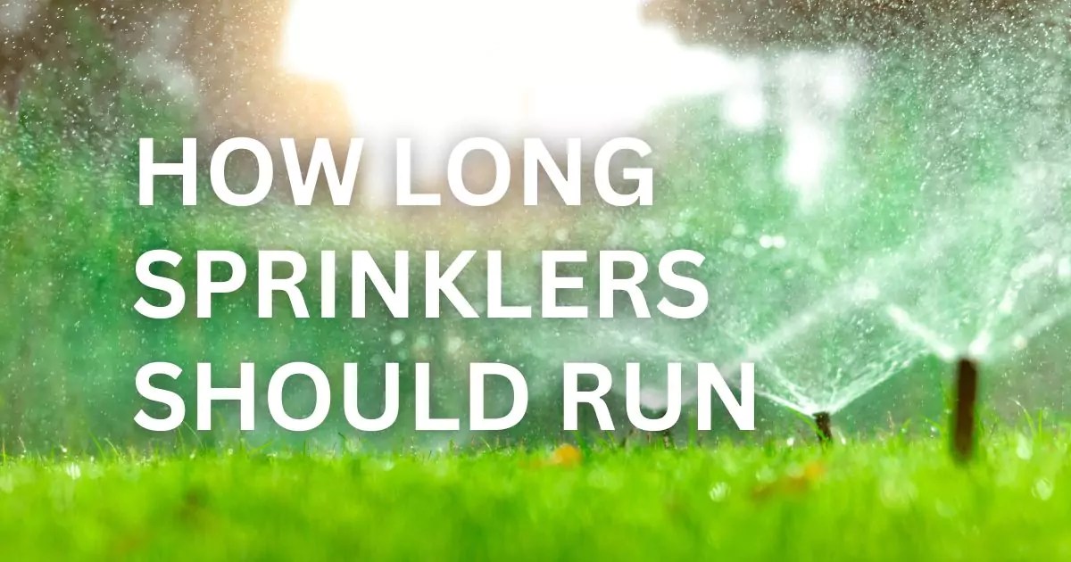 Sprinkler Times How Long Sprinklers Should Run