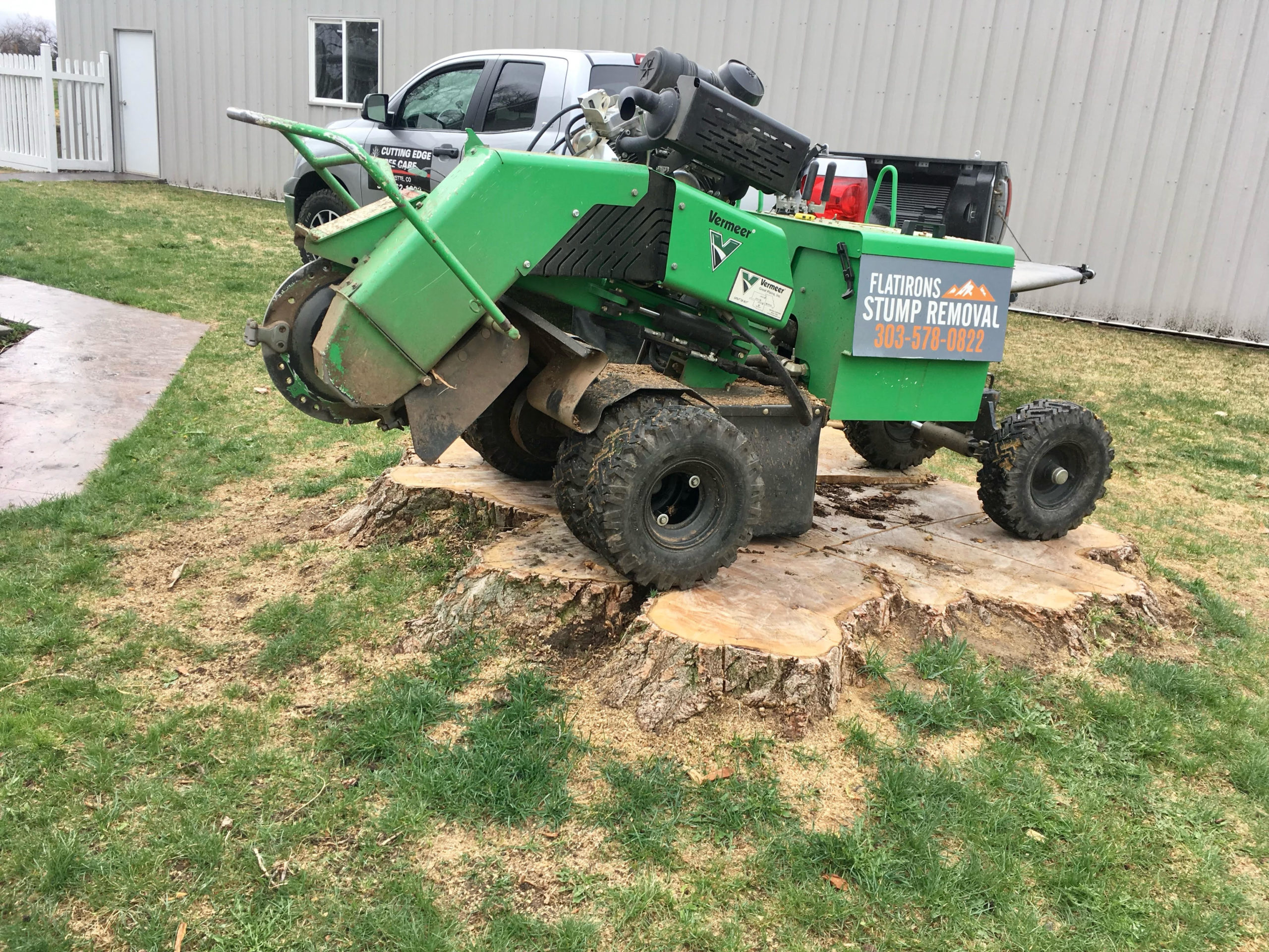 Boulder Stump Grinding Removes Stumps Without Digging