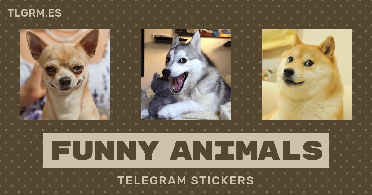 Pack de stickers para Telegram «Funny Animals»