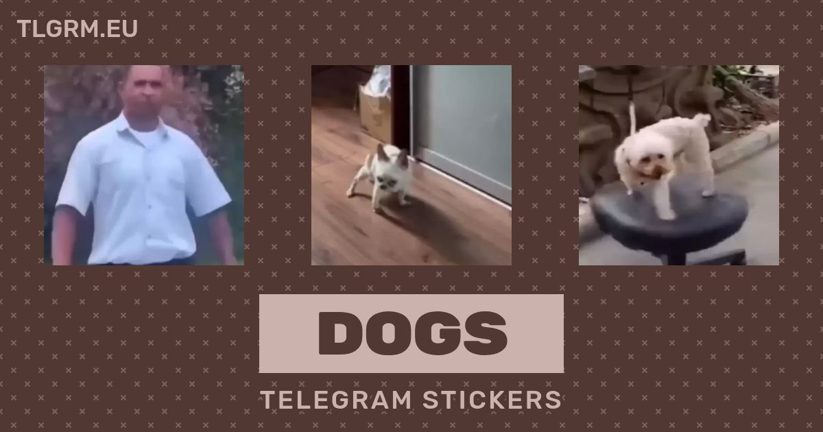 “Dogs” animated sticker set for Telegram