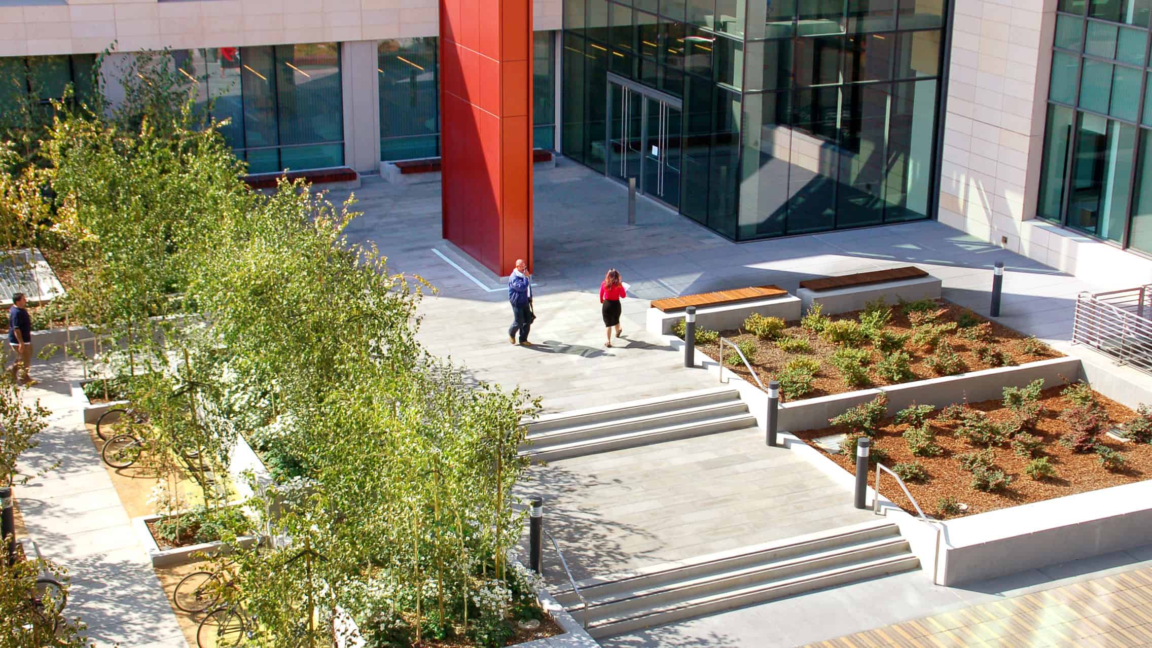 Stanford Medical School TLS Landscape Architecture