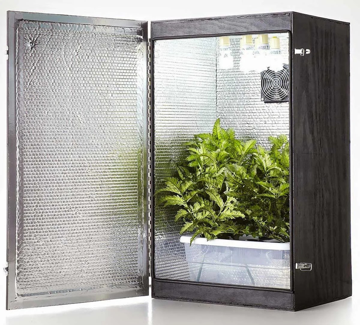 Advantages & Buying Guide for top 3 Grow boxes of 2021 TlwaStoria