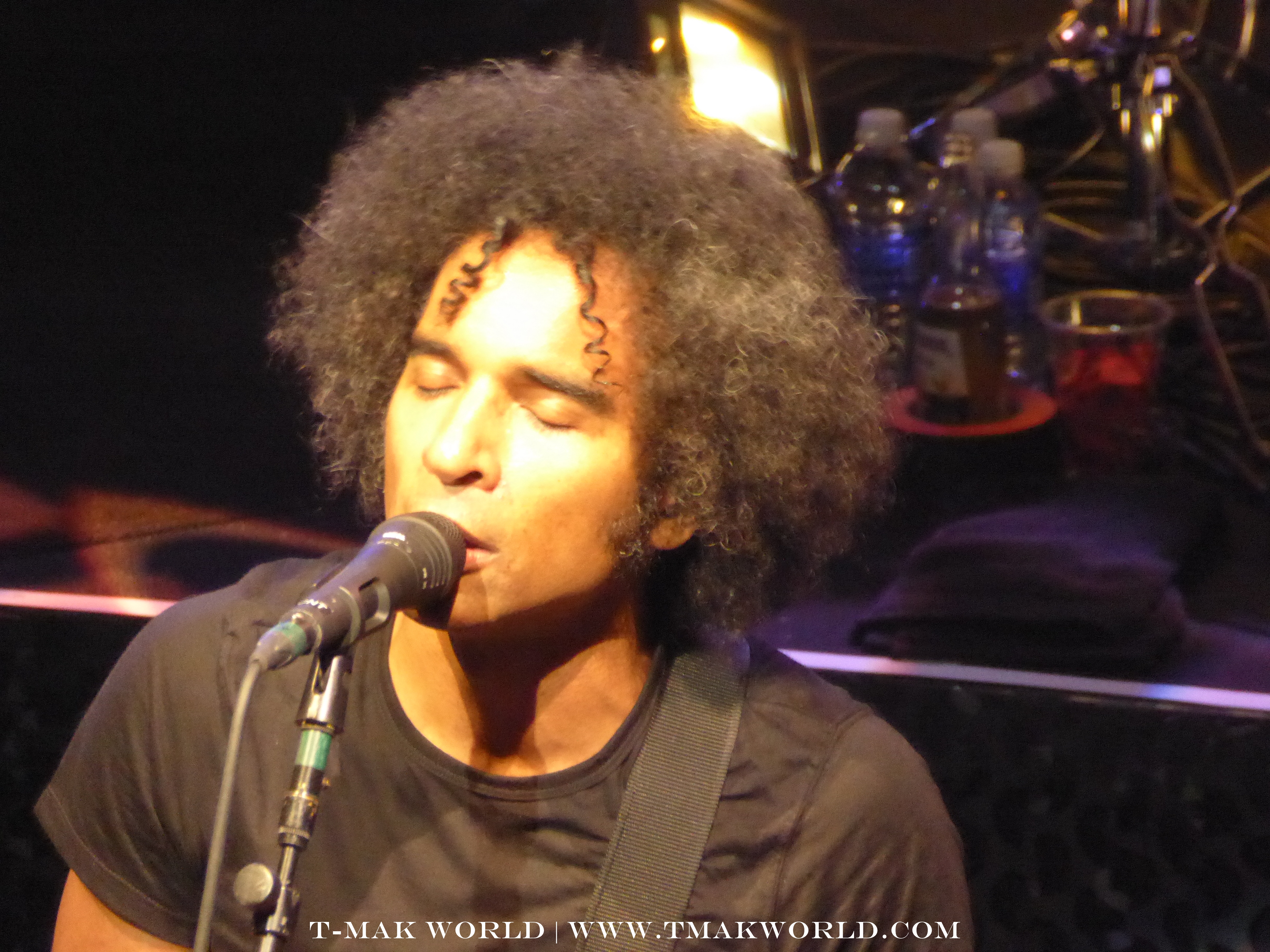 Alice In Chains Concert Review Austin Texas 2014