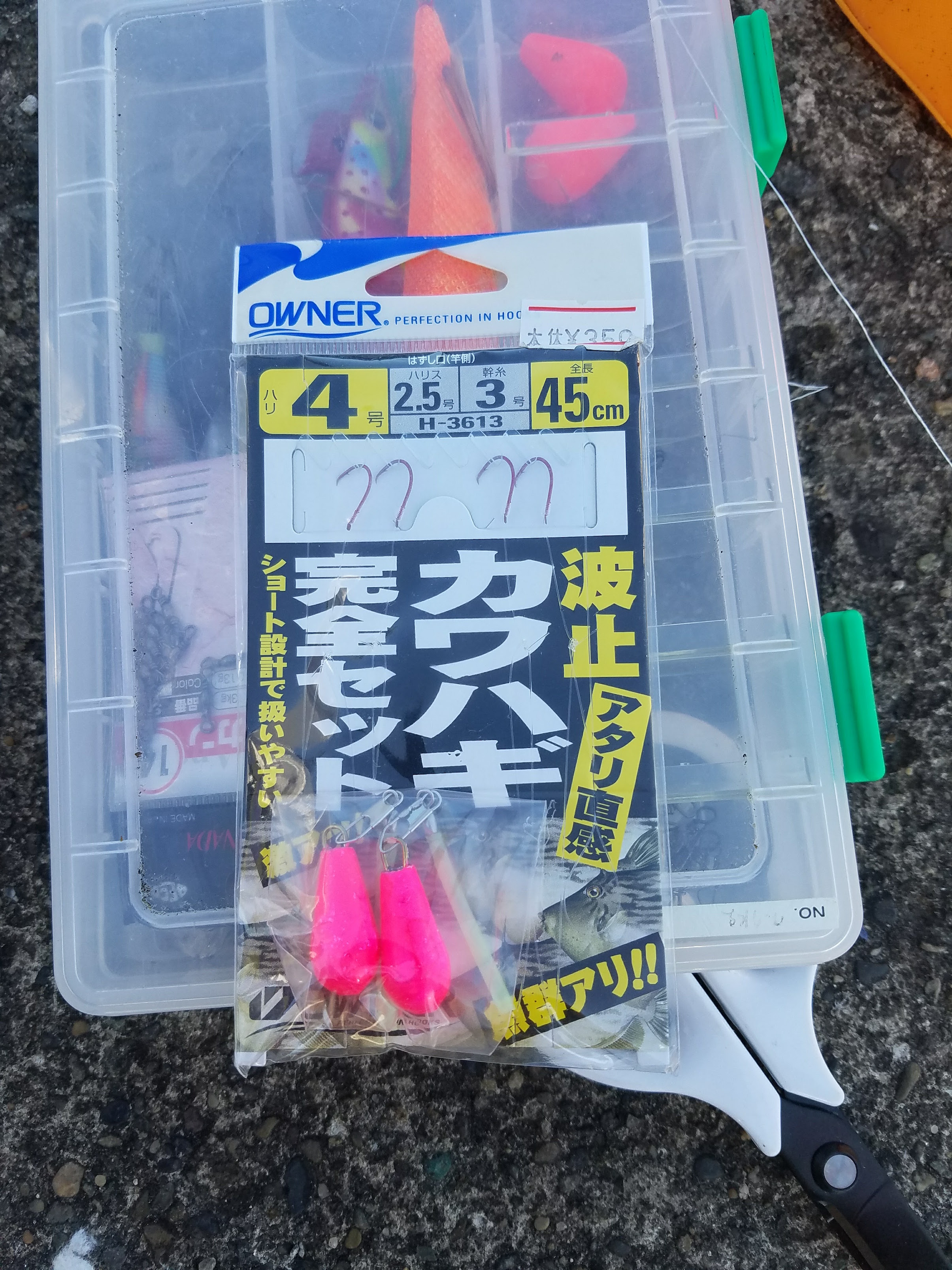 秋のカワハギを堤防から狙う ＠三崎