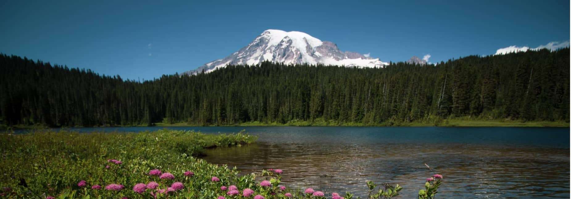 The BEST Free Dispersed Camping Near Mt. Rainier TMBtent
