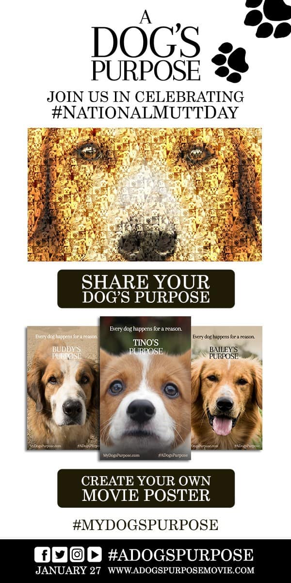 A Dog’s Purpose Celebrate National Mutt Day tmc.io 🍿 watch movies