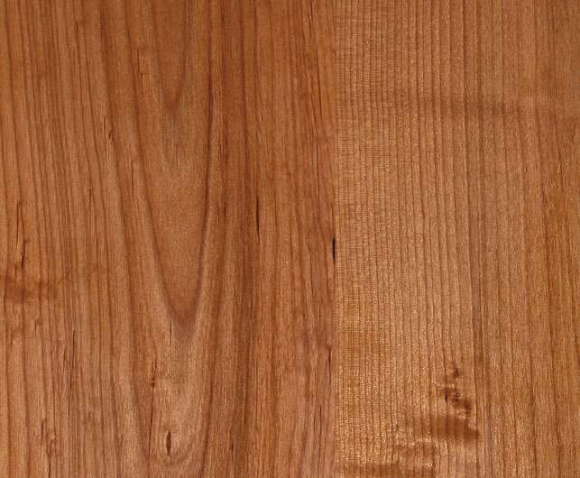 Wood Species TMCobb site