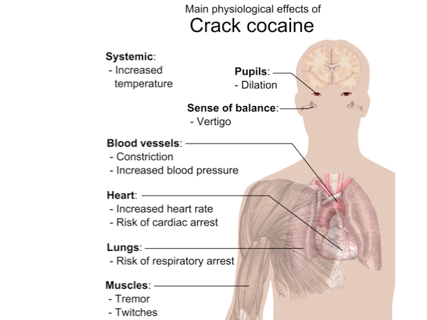 cocaine [TUSOM Pharmwiki]