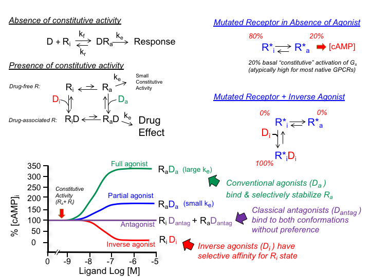 basic_principles_of_pharm [TUSOM Pharmwiki]