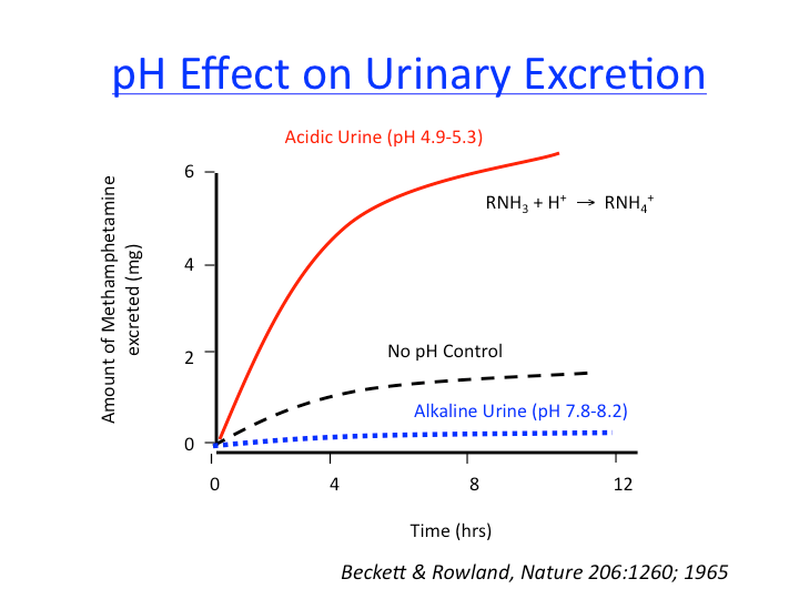 ph_effect_on_drug_elimination [TUSOM Pharmwiki]