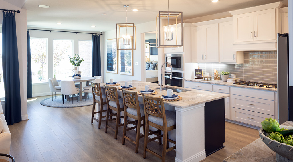 New Home For Sale in Little Elm, TX 1505 Loraine Drive