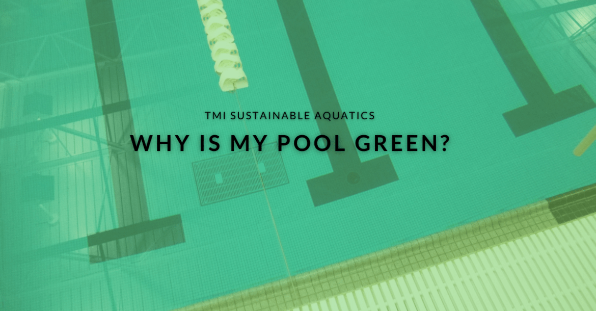 Why is My Pool Green? TMI Sustainable Aquatics