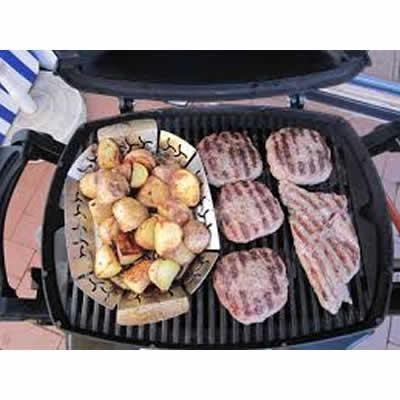 Weber Grills Q1200 51200001 Gas Grills From Ta Appliance